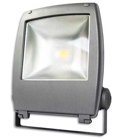 LED schijnwerper FL-602 55 Watt - 5 meter snoer